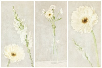 Flores brancas e delicadas de Gustav Davidsson
