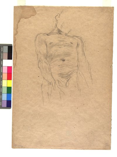 Männlicher Torso de Gustav Klimt