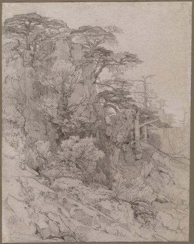 Árvores de uma encosta rochosa de Gustave Achille Guillaumet