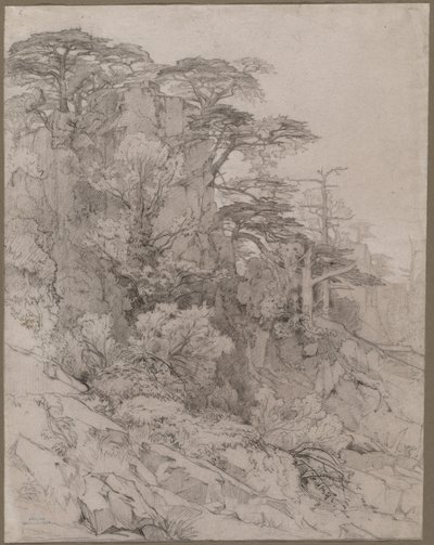 Trees of a Rocky Hillside, final do século XIX. de Gustave Achille Guillaumet