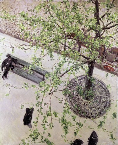 Boulevard visto de cima, 1880 de Gustave Caillebotte