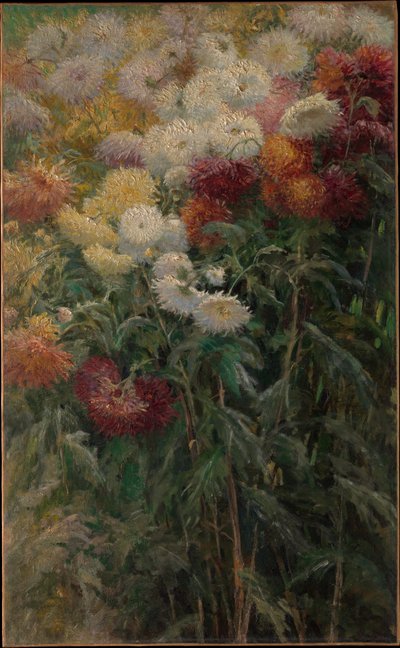 Crisântemos no jardim em Petit-Gennevilliers de Gustave Caillebotte