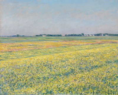 A planície de Gennevilliers, campos amarelos de Gustave Caillebotte