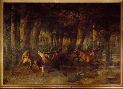 Cio da Primavera, luta de veados. Pintura de Gustave Courbet (1819-1877) de Gustave Courbet