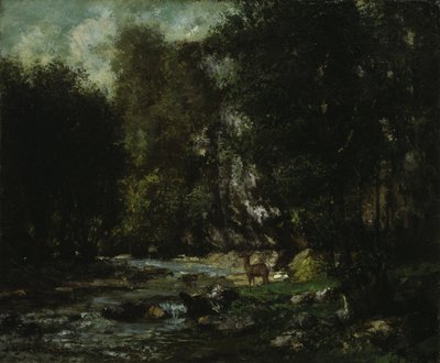 O riacho de Les Puits-Noir, c.1855 (óleo sobre tela) de Gustave Courbet
