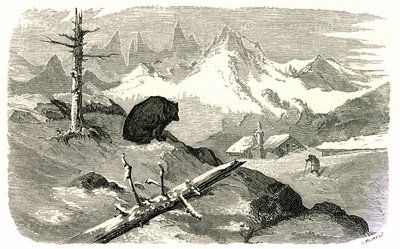 Gravura de Gustave Dore ilustrando o livro "Voyage aux Pyrenees d