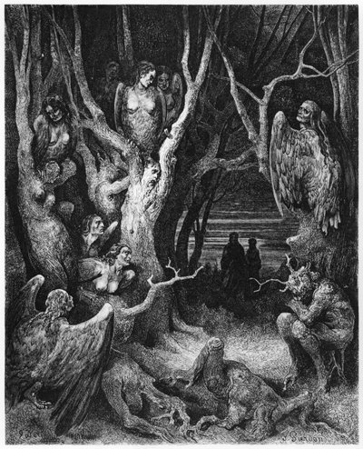 Harpias, ilustração de &39;A Divina Comédia&39; (Inferno) de Dante Alighieri (1265-1321) Paris, publicada em 1885 de Gustave Dore