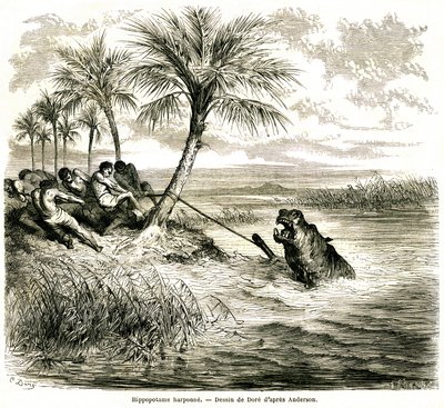 Caça no rio Teoghe, afluente do Ngami. Arpão de hipopótamo. Gravura de Gustave Dore ilustrando "les aventures et chasse du voyageur Charles-Jean Anderson dans l