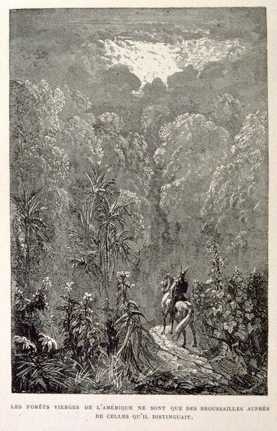 Ilustração de uma floresta americana. de La legende de Croque-Mitaine. de Gustave Dore
