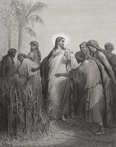Jesus e seus discípulos no campo de milho, ilustração da "Bíblia Sagrada" de Dore, gravada por Pannemaker, 1866 de Gustave Dore
