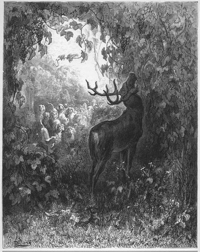 LE CERF ET LA VIGNE - O veado e a videira - de "Fábulas" de Jean de La Fontaine de Gustave Dore