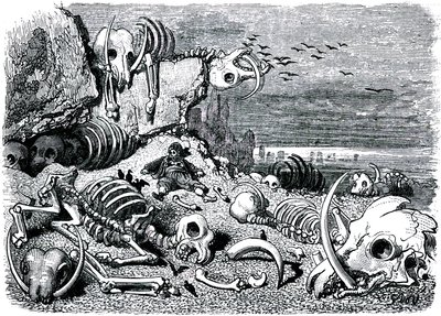 Sindbad, o marinheiro (Sinbad) - conto das mil e uma (1001) noites - ilustração de Gustave Dore - edição Maxwell 1865 - Sétima e última viagem: o cemitério dos elefantes onde Sindbad recuperará as defesas de marfim de Gustave Dore