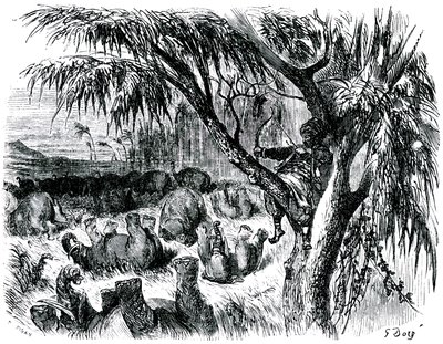 Sindbad, o marinheiro (Sinbad) - conto das mil e uma (1001) noites - ilustração de Gustave Dore - edição Maxwell 1865 - Sétima viagem: Sindbad, empoleirado numa árvore, puxa com o seu arco sobre elefantes de Gustave Dore