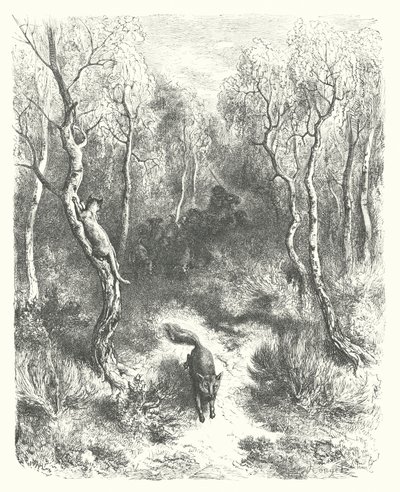 As Fábulas de La Fontaine: O Gato e a Raposa (gravura) de Gustave Dore