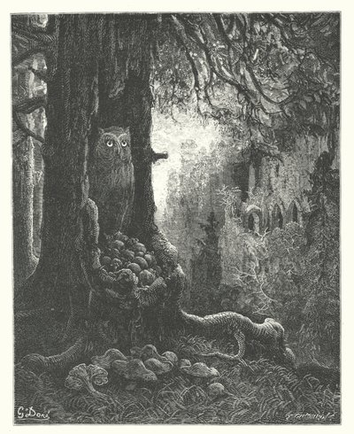 As Fábulas de La Fontaine: A Coruja e os Ratos (gravura) de Gustave Dore