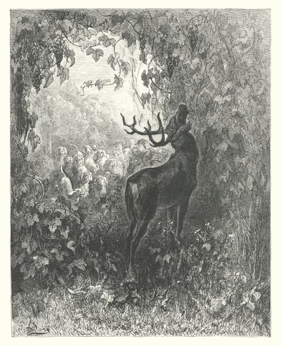 As Fábulas de La Fontaine: O veado e a videira (gravura) de Gustave Dore