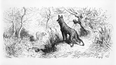 &39;O Lobo e o Cordeiro&39;, ilustração de &39;fábulas&39; de Jean de La Fontaine (1621-95) 1868 de Gustave Dore