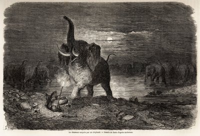 O caçador surpreendido por um elefante, perto do Lago Ngami (Botsuana), desenho de Gustave dore (1832-1883), para ilustrar as aventuras e caçadas de Charles Jean Anderson na África Austral. Gravura em "Le tour du monde, nouveau journal des voyages" Paris de Gustave Dore