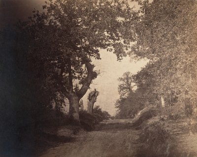 Fontainebleau, caminho arenoso para cima, ca. 1856. de Gustave Le Gray