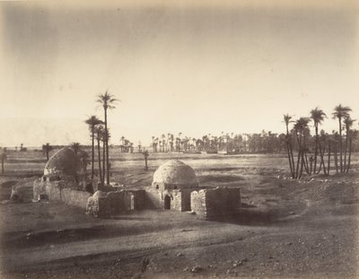 Vista da planície de Tebas tirada do templo de Karnac, 1867. de Gustave Le Gray