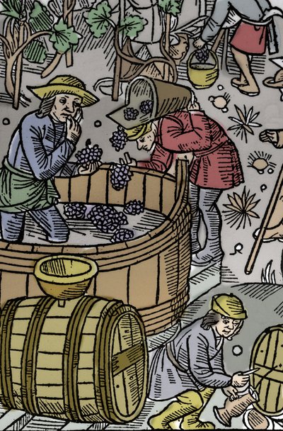 Vindima - vindima - Calendário dos Pastores - Os Trabalhos dos Meses - Outubro - Corte de madeira do livro de 1496 impresso por Guy Marchant (Guido Mercator) em Troyes - Gravura em madeira em "Le grand Calendrier et compost des shepherds" - A vindima - e o de Guy Marchant