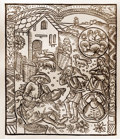 Calendário dos Pastores - Os Trabalhos dos Meses - Junho - Corte de madeira do livro de 1496 impresso por Guy Marchant (Guido Mercator) em Troyes - Gravura em madeira em "Le grand Calendrier et compost des shepherds" - de Guy Marchant