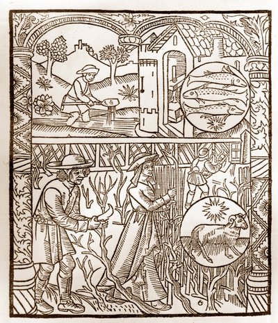 Calendário dos Pastores - Os Trabalhos dos Meses - Março - Corte de madeira do livro de 1496 impresso por Guy Marchant (Guido Mercator) em Troyes - Gravura em madeira em "Le grand Calendrier et compost des shepherds" - de Guy Marchant