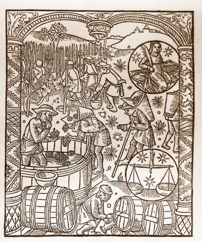 Calendário dos Pastores - Os Trabalhos dos Meses - Outubro - Corte de madeira do livro de 1496 impresso por Guy Marchant (Guido Mercator) em Troyes - Gravura em madeira em "Le grand Calendrier et compost des shepherds" - A colheita - e os signos do zodíaco de Guy Marchant