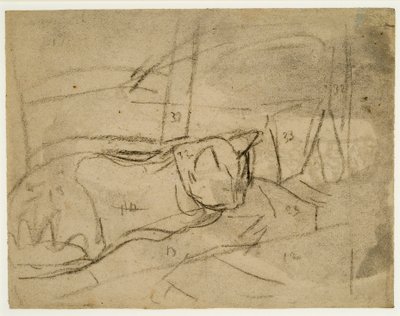 Estudos de gatos (carvão sobre papel) de Gwen John