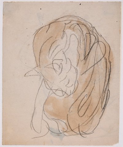 Estudos de gatos (aguarela com lápis sobre papel) de Gwen John