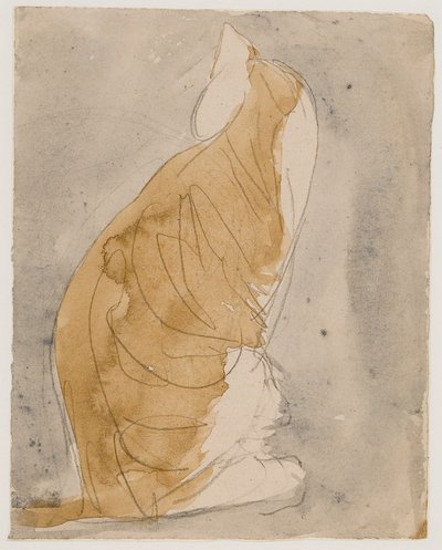 Estudo de um gato (aguarela e lápis sobre papel) de Gwen John