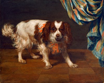 Um Rei Charles Spaniel (óleo sobre painel) de Gysbert van de Kuyl