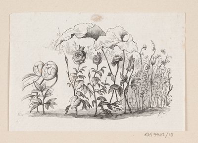 Ilustração para "Den lille Idas Blomster" em H.C. Andersen, "Contos de fadas e histórias", Volume 1 de H.P. Hansen