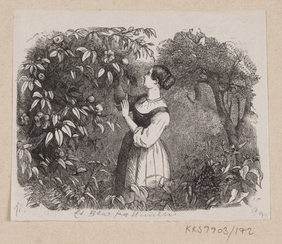 Ilustração para "A Leaf from Heaven" em H.C. Andersen, "Contos de fadas e histórias", Volume 2 de H.P. Hansen