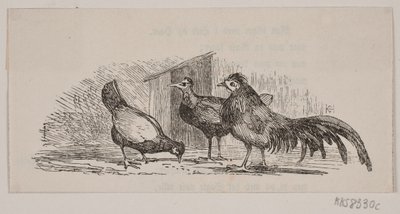 Três galinhas de H. C. Henneberg
