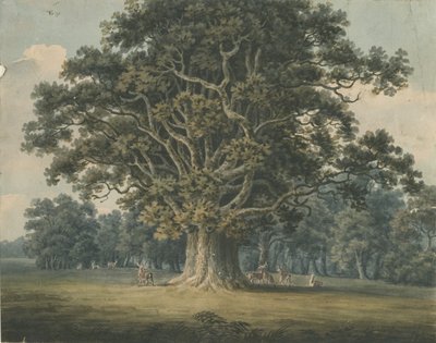 Needwood - Swilcar Oak: pintura em aquarela, nd [ Início do século XIX] de H Moore