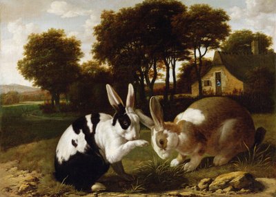 Dois coelhos em uma paisagem, c.1650 de Haarlem School