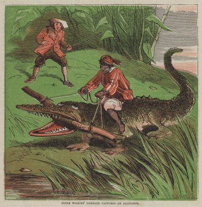O camarada de Peter Wilkins captura um crocodilo (cor litho) de after Hablot Knight Browne