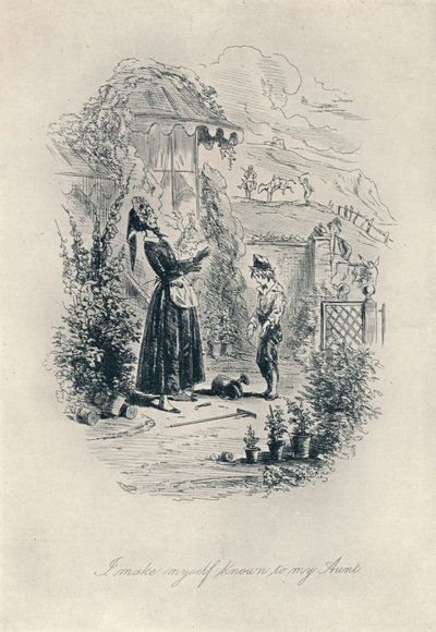 Faço-me conhecido por minha tia. Gravura a partir de David Copperfield, c1840-1880, 1923 de Hablot Knight Browne