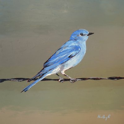 Picador, c.2025 (óleo sobre masonite) de Hadley Rampton