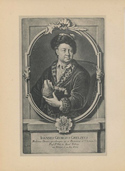 Retrato do naturalista, botânico e geógrafo Johann Georg Gmelin 1709-1755, meados do séc. de Haid