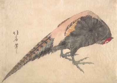 Pássaro, 1830. de Hakusanjin Hokui