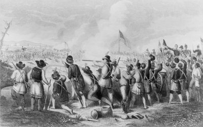 A Batalha de Nova Orleans em 8 de janeiro de 1813 de Hammatt Billings