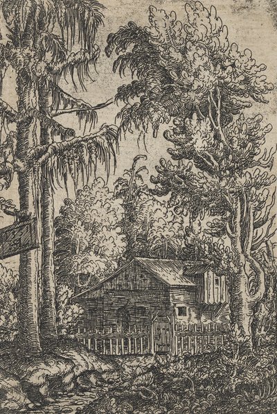 Uma Cabana e Dois Pinheiros de Hanns Sebald Lautensack