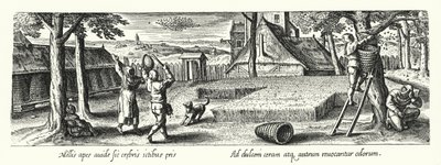 Apicultores (gravura) de Hans (after) Bol