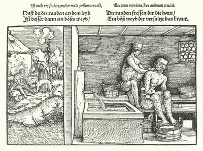 Sarna (gravura) de Hans (after) Burgkmair