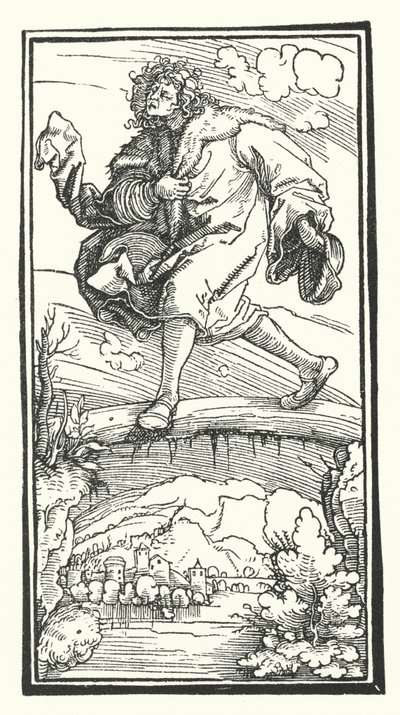 Madeira cortada de De Remediis Utriusque Fortunae (Remédios para a Feira da Fortuna e Falta) por Petrarca (gravura) de Hans (after) Burgkmair