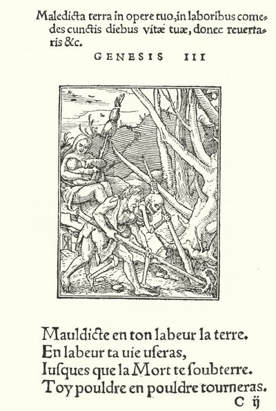 A Maldição sobre a Terra e sobre o Homem (gravura) de Hans (after) Holbein the Younger