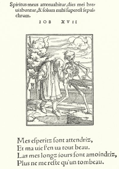 O Velho (gravura) de Hans (after) Holbein the Younger