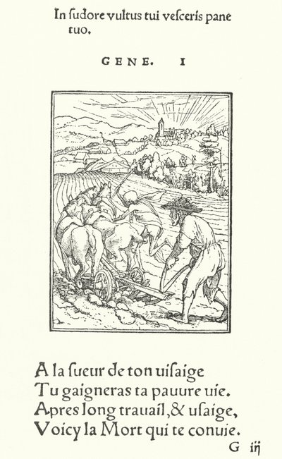 O Lavrador, ou Agricultor (gravação) de Hans (after) Holbein the Younger